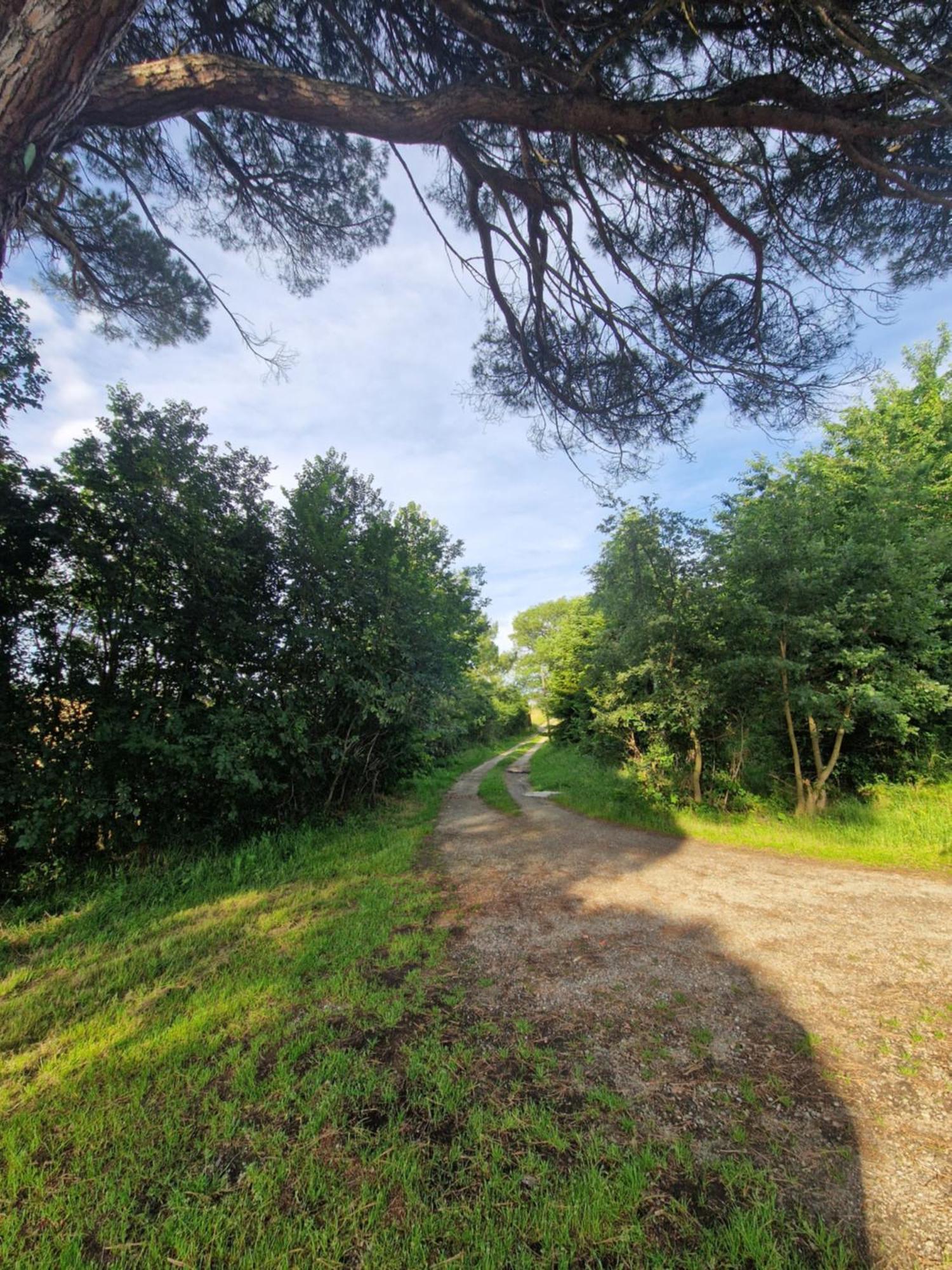 Ferme Ariegeoise, Gite Du Lac Unzent Exterior foto
